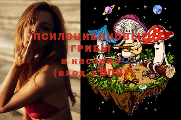 каннабис Беломорск