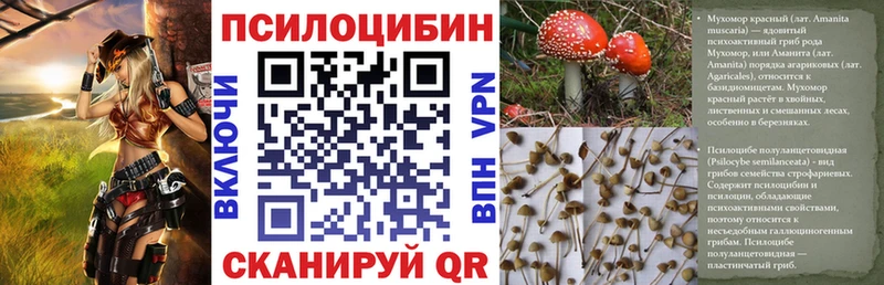 Псилоцибиновые грибы Cubensis  сколько стоит  Вяземский 